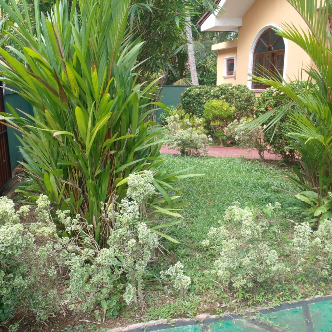 Grace Villa Bentota Zewnętrze zdjęcie